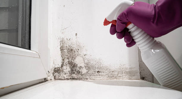 24/7 water damage repair in Goldsby, OK